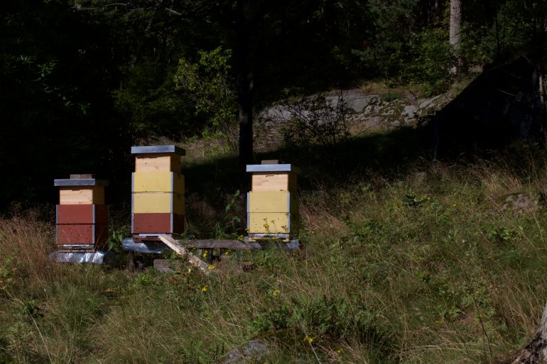 Beuten mit Buckfast - Bienen - Irgendwo in Süd-Schweden
